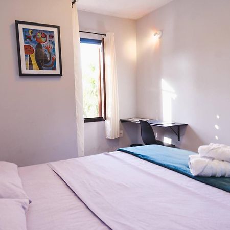 Hostel Jardim Das Bruxas 410 Florianópolis 外观 照片